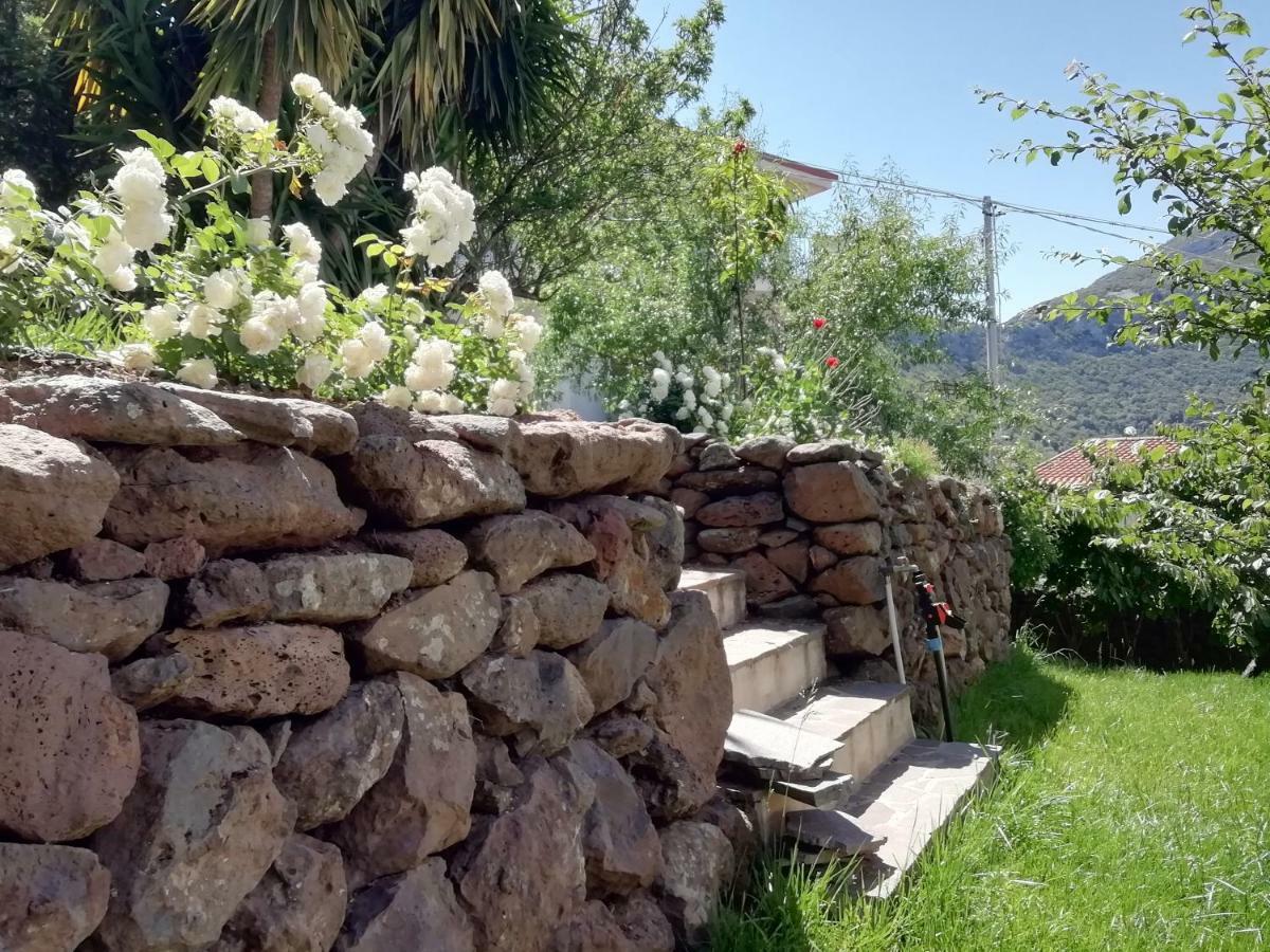 Casa Vacanze Villa Rosetta Dorgali Exteriör bild