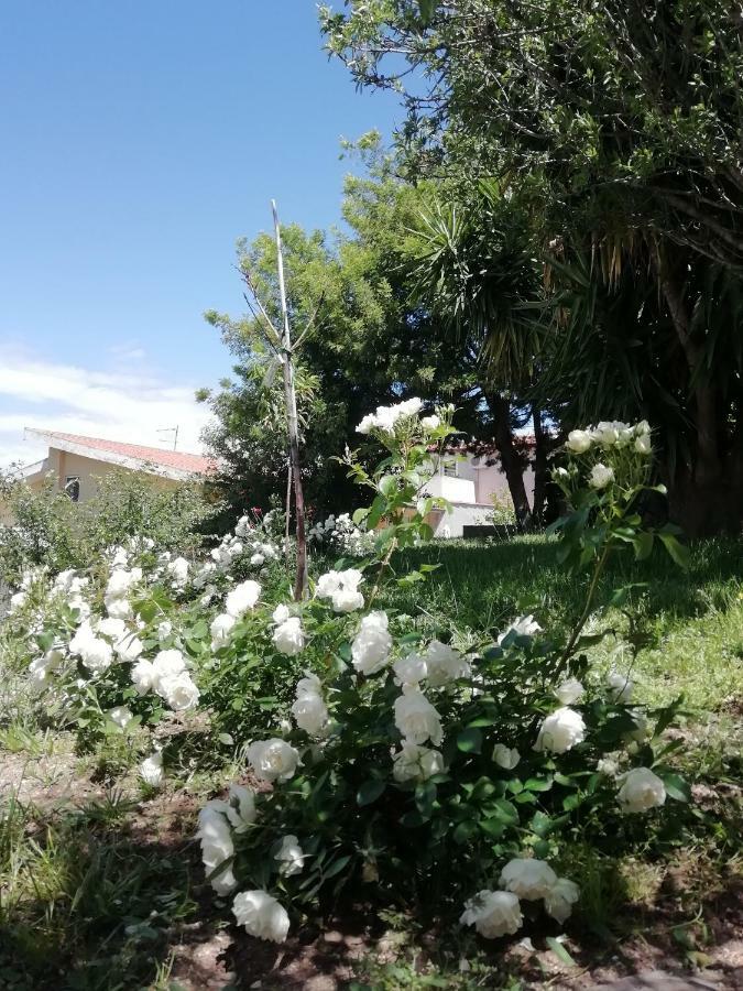Casa Vacanze Villa Rosetta Dorgali Exteriör bild