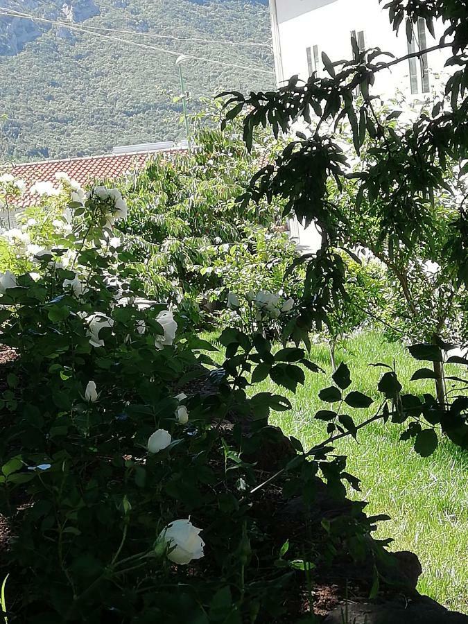 Casa Vacanze Villa Rosetta Dorgali Exteriör bild